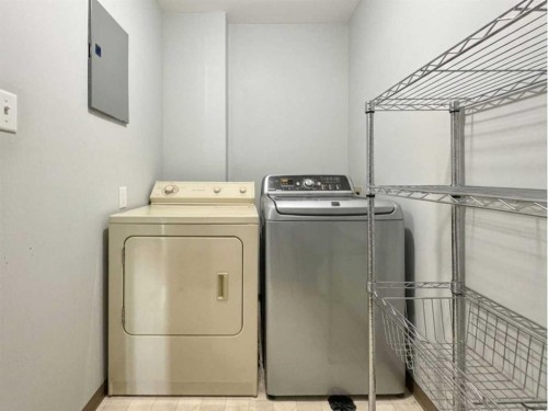 301-420 Columbia Boulevard West, Lethbridge, AB - Indoor Photo Showing Laundry Room