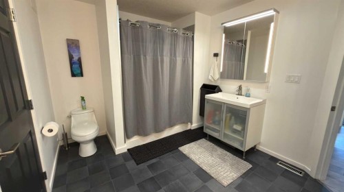 212 Underwood Avenue, Diamond City, AB - Indoor Photo Showing Bathroom