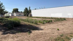 319 2 Avenue NORTHVauxhall, AB T0K 2K0