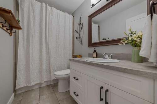 696 Sixmile Crescent South, Lethbridge, AB - Indoor Photo Showing Bathroom