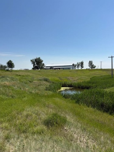 220075 54, Magrath, AB - Outdoor With View