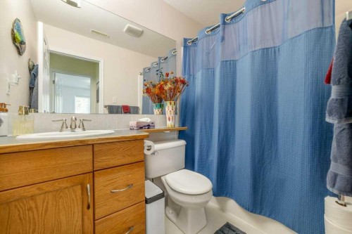 178 Peigan Court West, Lethbridge, AB - Indoor Photo Showing Bathroom