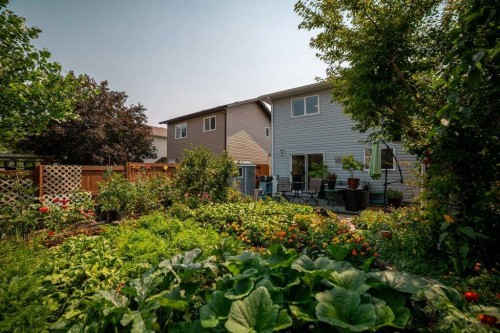 178 Peigan Court West, Lethbridge, AB - Outdoor