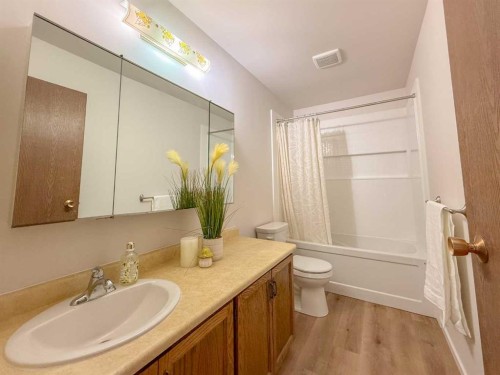 305 51 Avenue, Coalhurst, AB - Indoor Photo Showing Bathroom