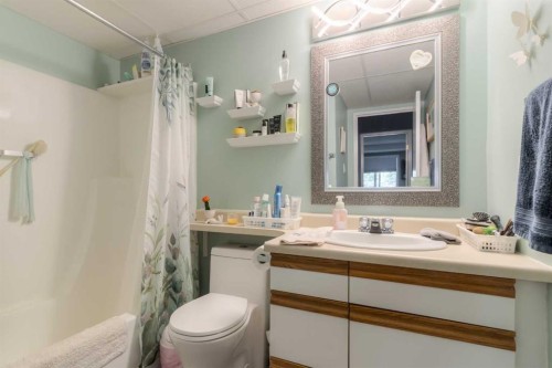 333-1237 4 Avenue South, Lethbridge, AB - Indoor Photo Showing Bathroom
