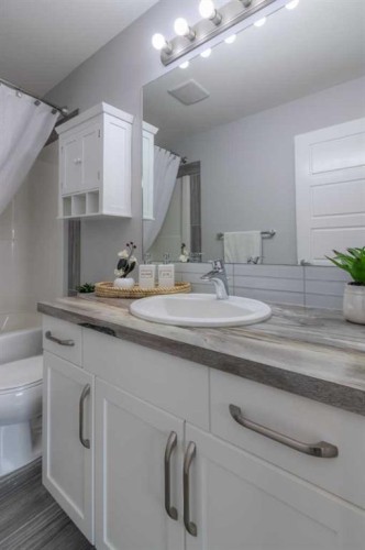 4-1220 Keystone, Lethbridge, AB - Indoor Photo Showing Bathroom