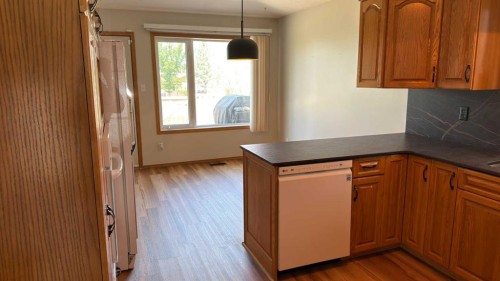 47 Chilcotin Crescent West, Lethbridge, AB - Indoor Photo Showing Kitchen