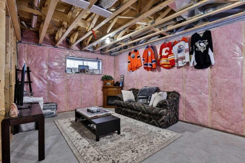962 Miners Boulevard West, Lethbridge, AB - Indoor Photo Showing Basement