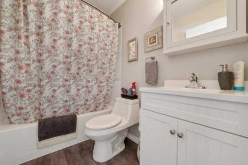 94 Assiniboia Way West, Lethbridge, AB - Indoor Photo Showing Bathroom