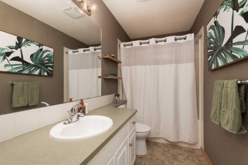 242 Heritage Circle West, Lethbridge, AB - Indoor Photo Showing Bathroom