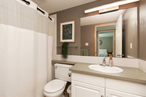 242 Heritage Circle West, Lethbridge, AB - Indoor Photo Showing Bathroom