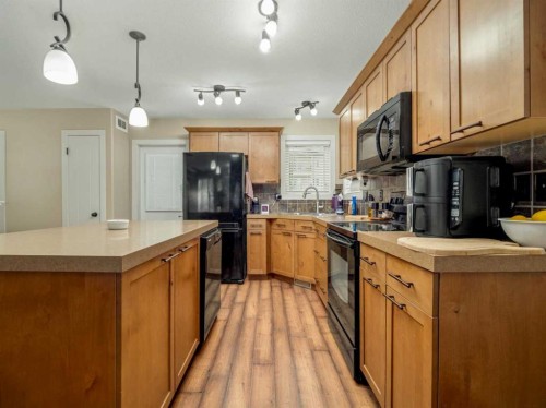 486 Mary Cameron Crescent North, Lethbridge, AB - Indoor Photo Showing Kitchen With Double Sink