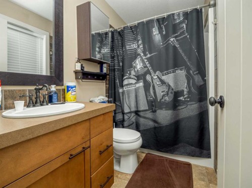 486 Mary Cameron Crescent North, Lethbridge, AB - Indoor Photo Showing Bathroom