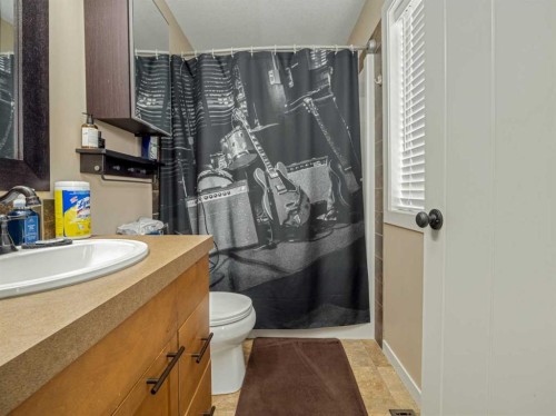 486 Mary Cameron Crescent North, Lethbridge, AB - Indoor Photo Showing Bathroom