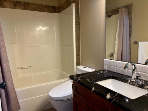 314 Coulee Springs Terrace South, Lethbridge, AB - Indoor Photo Showing Bathroom