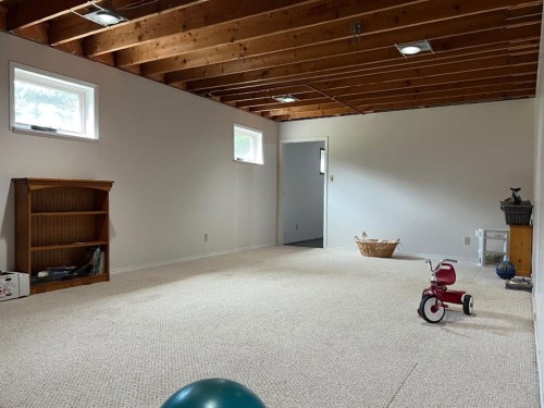 85026 Range Road 194, Rural Lethbridge County, AB - Indoor Photo Showing Basement
