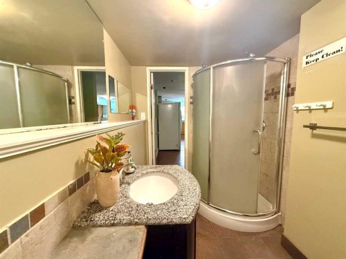 159 Laval Boulevard West, Lethbridge, AB - Indoor Photo Showing Bathroom