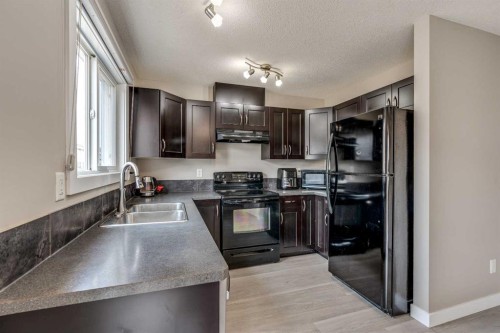 2-237 Silkstone Road West, Lethbridge, AB - Indoor Photo Showing Kitchen With Double Sink