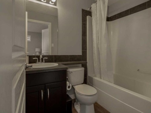 9-241 Silkstone Road West, Lethbridge, AB - Indoor Photo Showing Bathroom