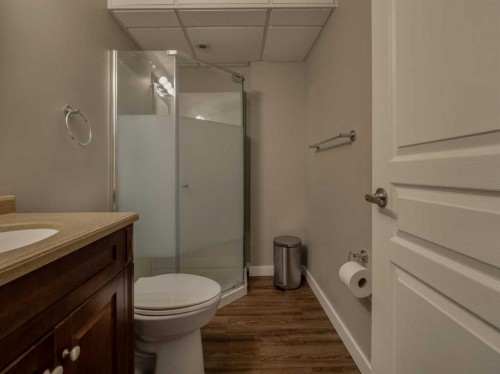 9-241 Silkstone Road West, Lethbridge, AB - Indoor Photo Showing Bathroom