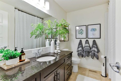 154 Lasalle Terrace West, Lethbridge, AB - Indoor Photo Showing Bathroom