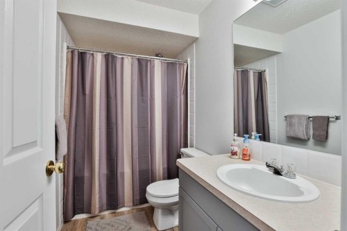 52 Ermineview Way North, Lethbridge, AB - Indoor Photo Showing Bathroom