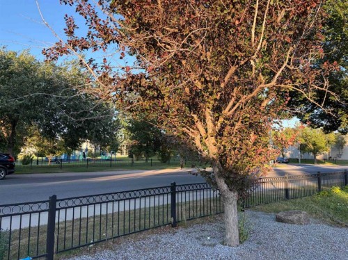 52 Ermineview Way North, Lethbridge, AB - Outdoor