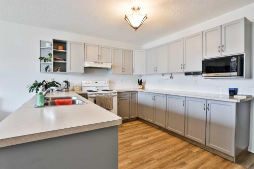 52 Ermineview Way North, Lethbridge, AB - Indoor Photo Showing Kitchen With Double Sink