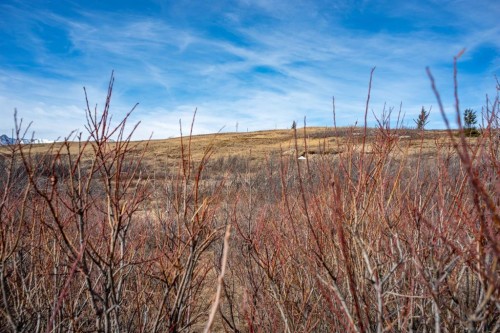 2 Paradise Drive, Rural Cardston County, AB 