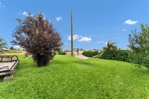 210 Dunbar Avenue West, Bow Island, AB - Outdoor