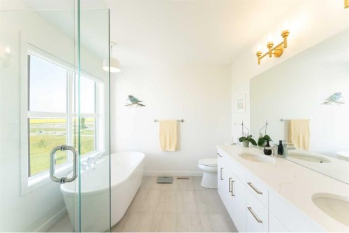 244 Blackwolf Place North, Lethbridge, AB - Indoor Photo Showing Bathroom