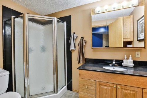 3802 Oak Drive South, Lethbridge, AB - Indoor Photo Showing Bathroom