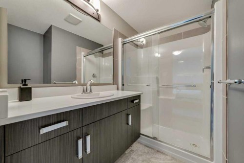 809 Greywolf Run North, Lethbridge, AB - Indoor Photo Showing Bathroom
