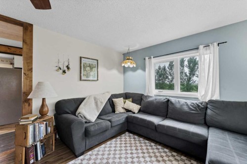 94079 113 Range Road, Bow Island, AB - Indoor Photo Showing Living Room