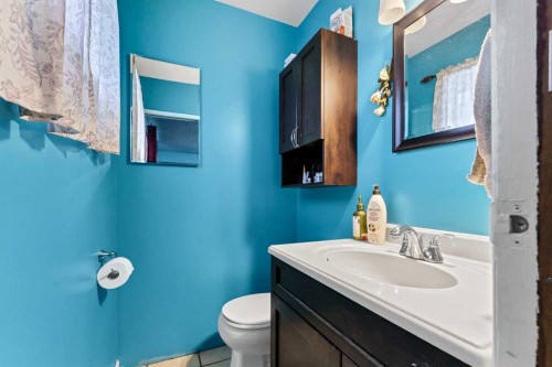 94079 113 Range Road, Bow Island, AB - Indoor Photo Showing Bathroom