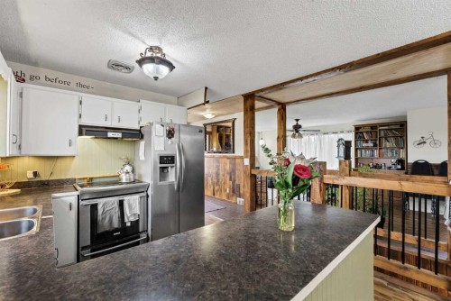 94079 113 Range Road, Bow Island, AB - Indoor Photo Showing Kitchen With Double Sink