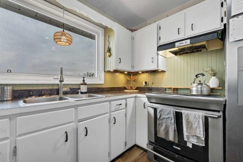 94079 113 Range Road, Bow Island, AB - Indoor Photo Showing Kitchen With Double Sink