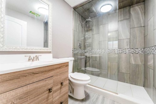 352 Crocus Terrace West, Lethbridge, AB - Indoor Photo Showing Bathroom