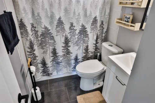 1009 6 Avenue North, Lethbridge, AB - Indoor Photo Showing Bathroom