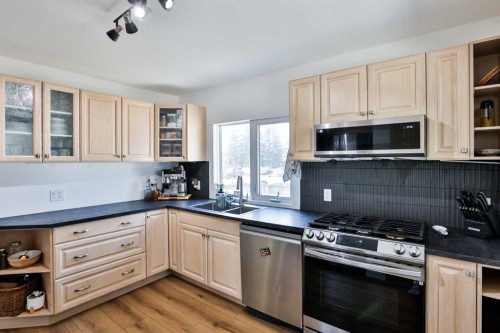1009 6 Avenue North, Lethbridge, AB - Indoor Photo Showing Kitchen With Double Sink