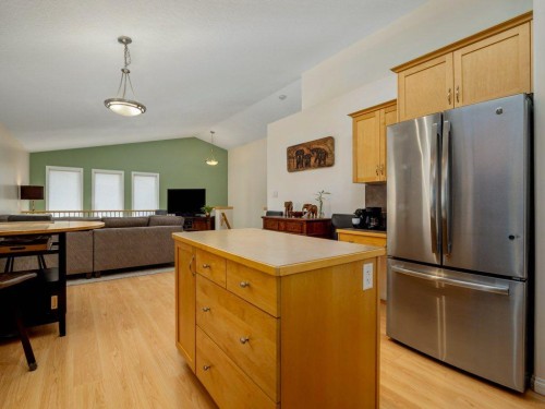 385 Thyrza Burkitt Link North, Lethbridge, AB 