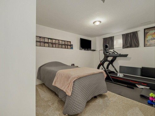 385 Thyrza Burkitt Link North, Lethbridge, AB 