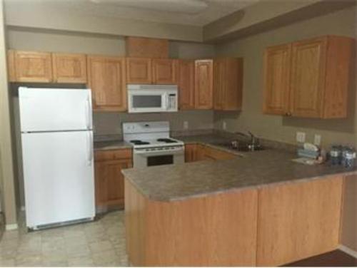 #201-9810 94 Street, Peace River, AB - Indoor Photo Showing Kitchen