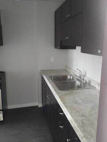 501 & 509 Main Street, Falher, AB - Indoor Photo Showing Kitchen With Double Sink