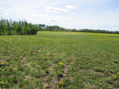 15231004 Twp Rd 920, Rural Northern Lights, County Of, AB 