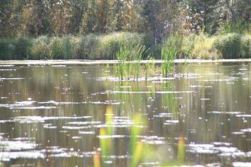 9660 88 Street, High Level, AB 