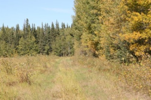 9660 88 Street, High Level, AB 