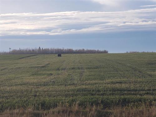 721072 Range Road  53, Rural Grande Prairie No. 1, County Of, AB 