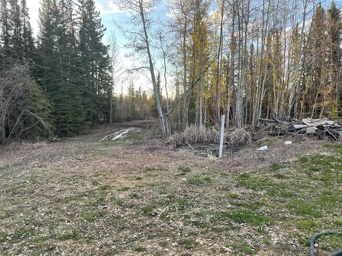 55004  Twp Rd 862, Rural Clear Hills County, AB - Outdoor With View