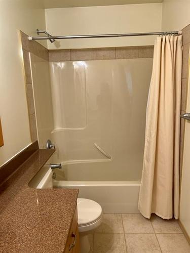 2 Chonkolay Drive, High Level, AB - Indoor Photo Showing Bathroom